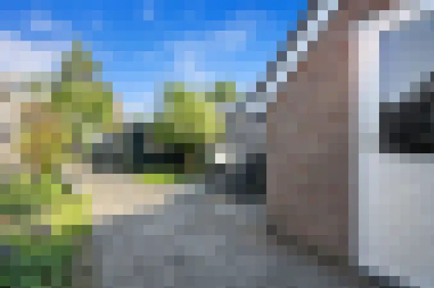 Hoefslag 27 Maasland thumbnail 18
