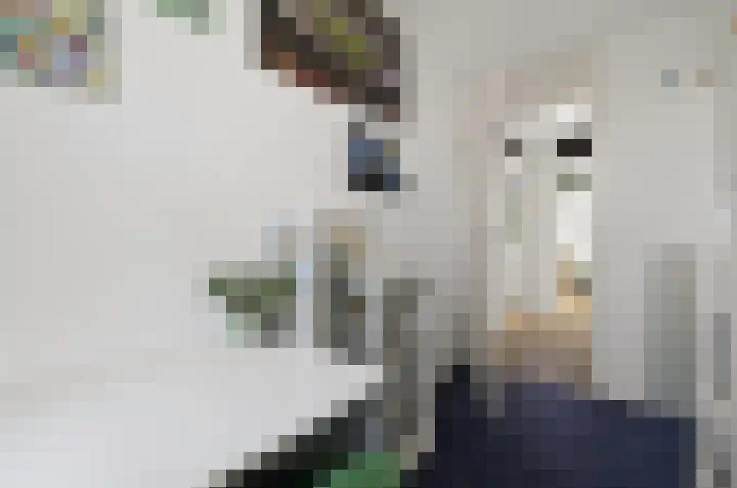 Hoefslag 27 Maasland thumbnail 26
