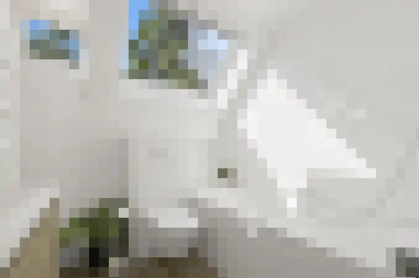 Hoefslag 27 Maasland thumbnail 30