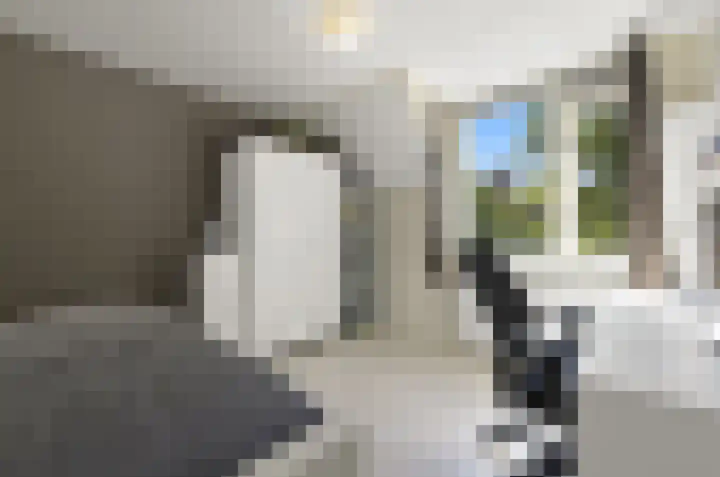 Hoefslag 27 Maasland thumbnail 34