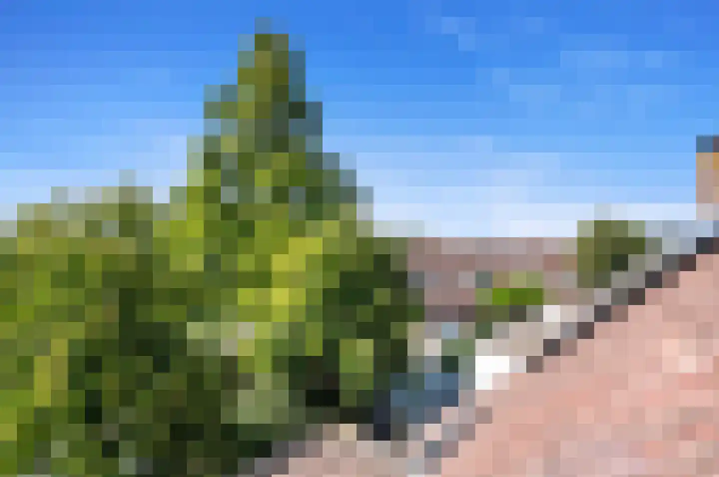 Hoefslag 27 Maasland thumbnail 44