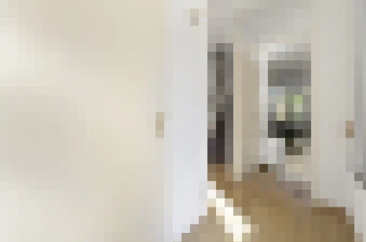 Hoefslag 27 Maasland thumbnail 8