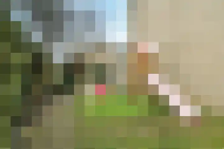 Hoefslag 29 Barendrecht thumbnail 32