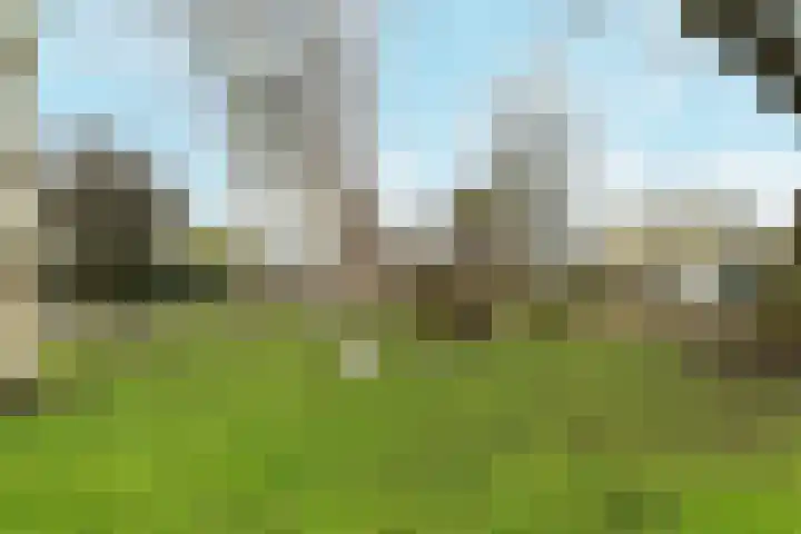 Hoefslag 29 Barendrecht thumbnail 5