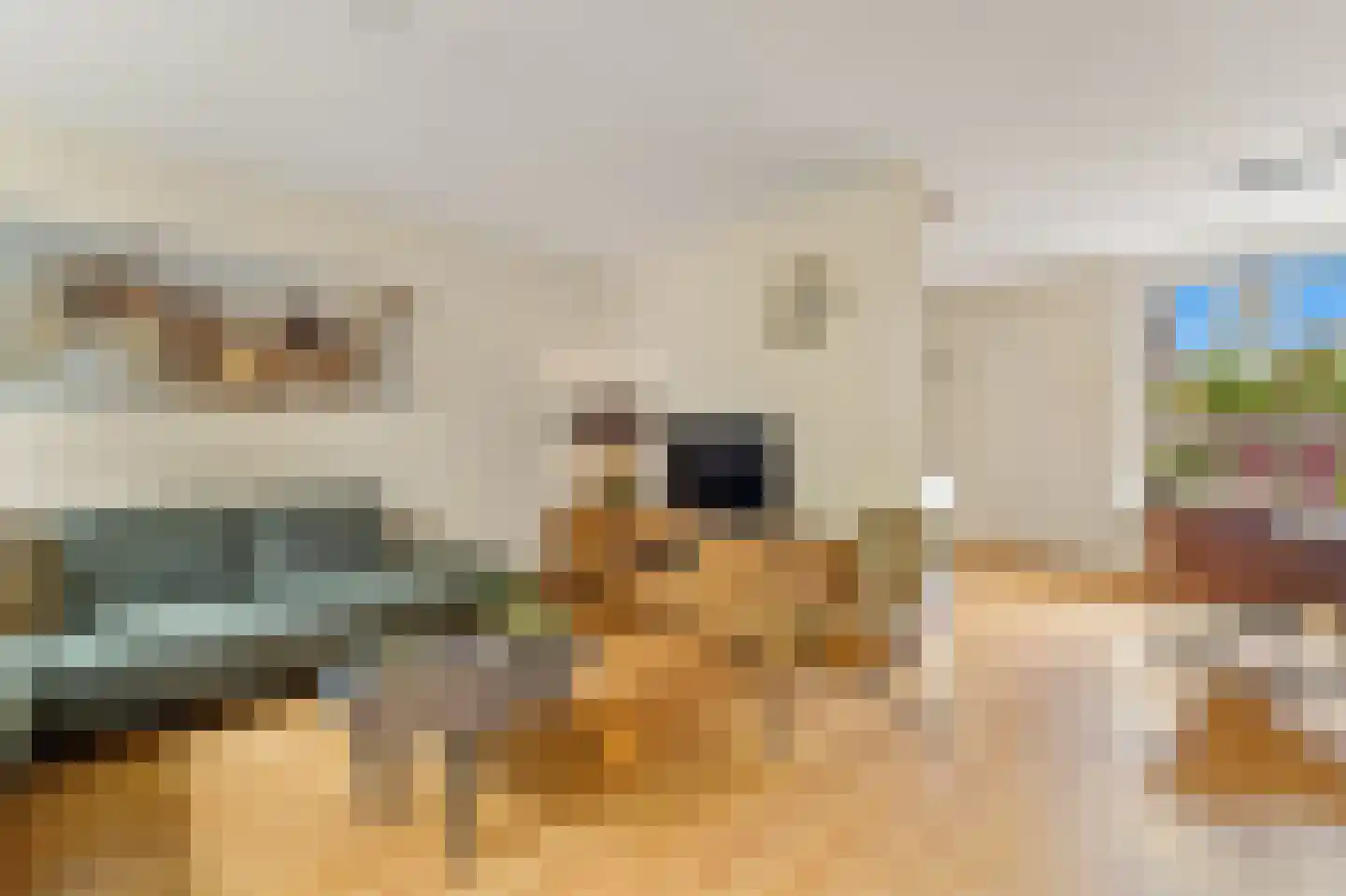 Hoefslag 29 Maasland thumbnail 11