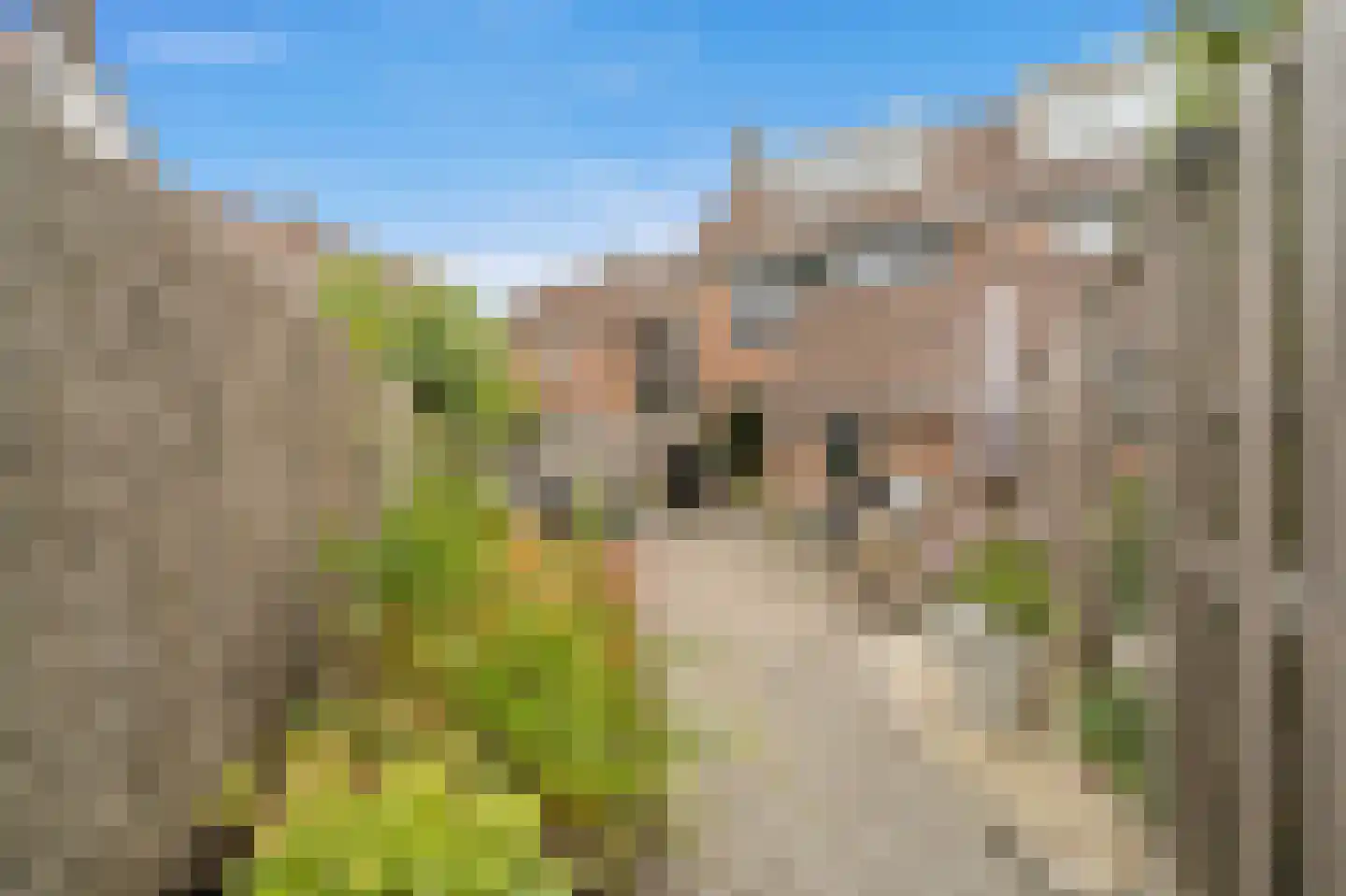 Hoefslag 29 Maasland thumbnail 19