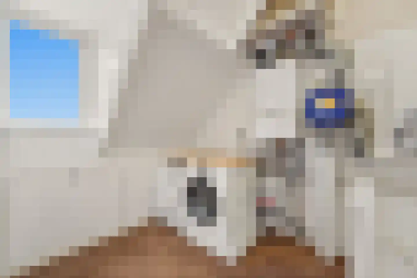 Hoefslag 29 Maasland thumbnail 31