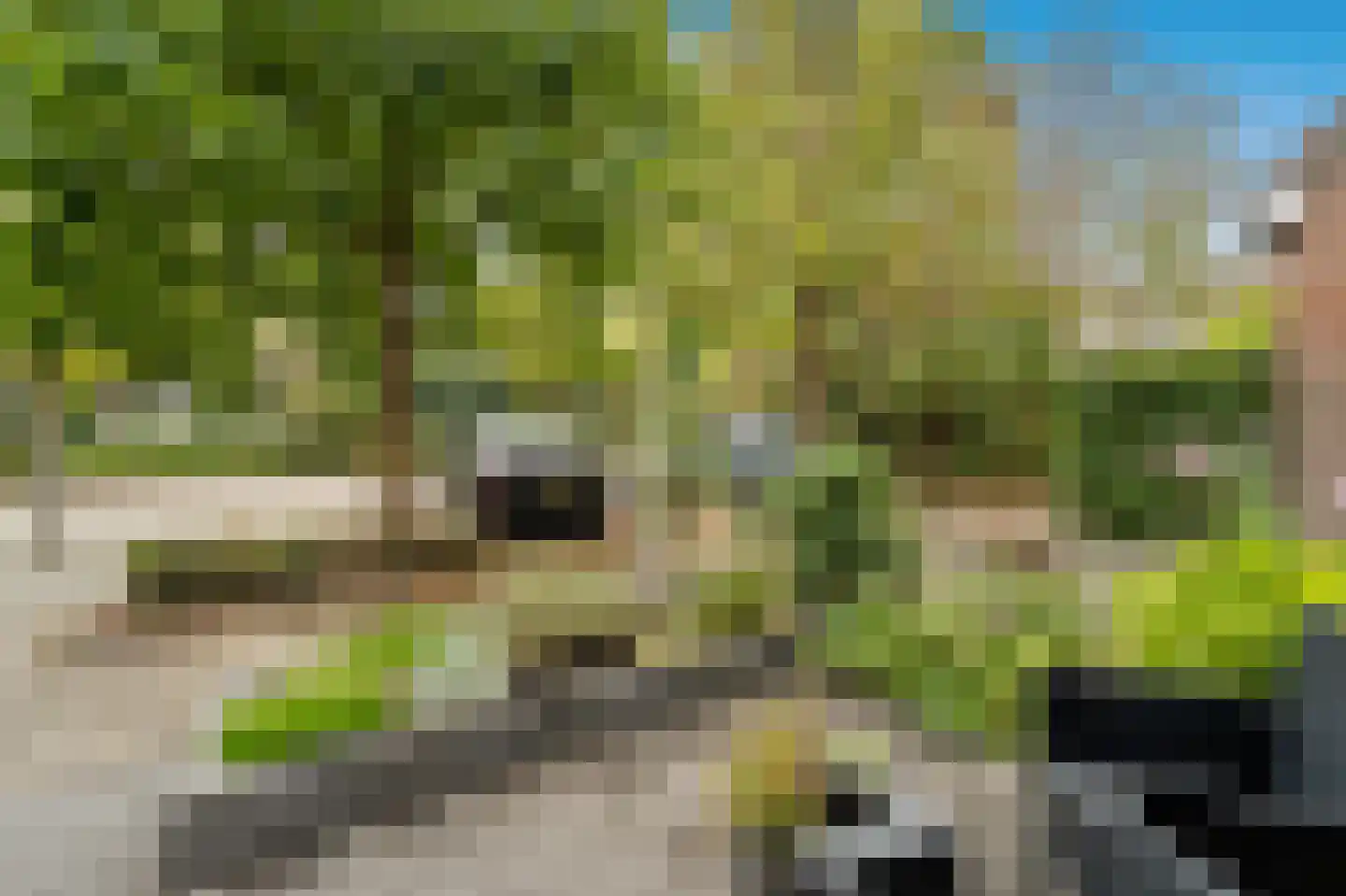 Hoefslag 29 Maasland thumbnail 38