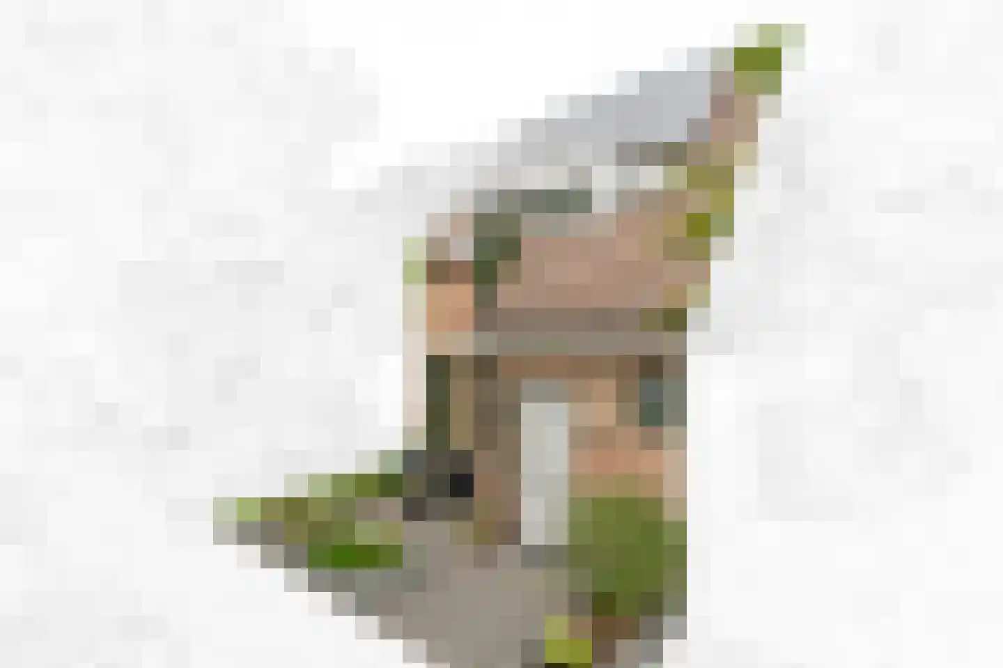 Hoefslag 29 Maasland thumbnail 7