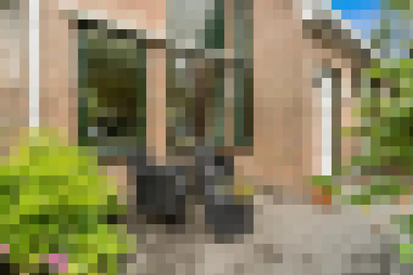 Hoefslag 29 Maasland thumbnail 9