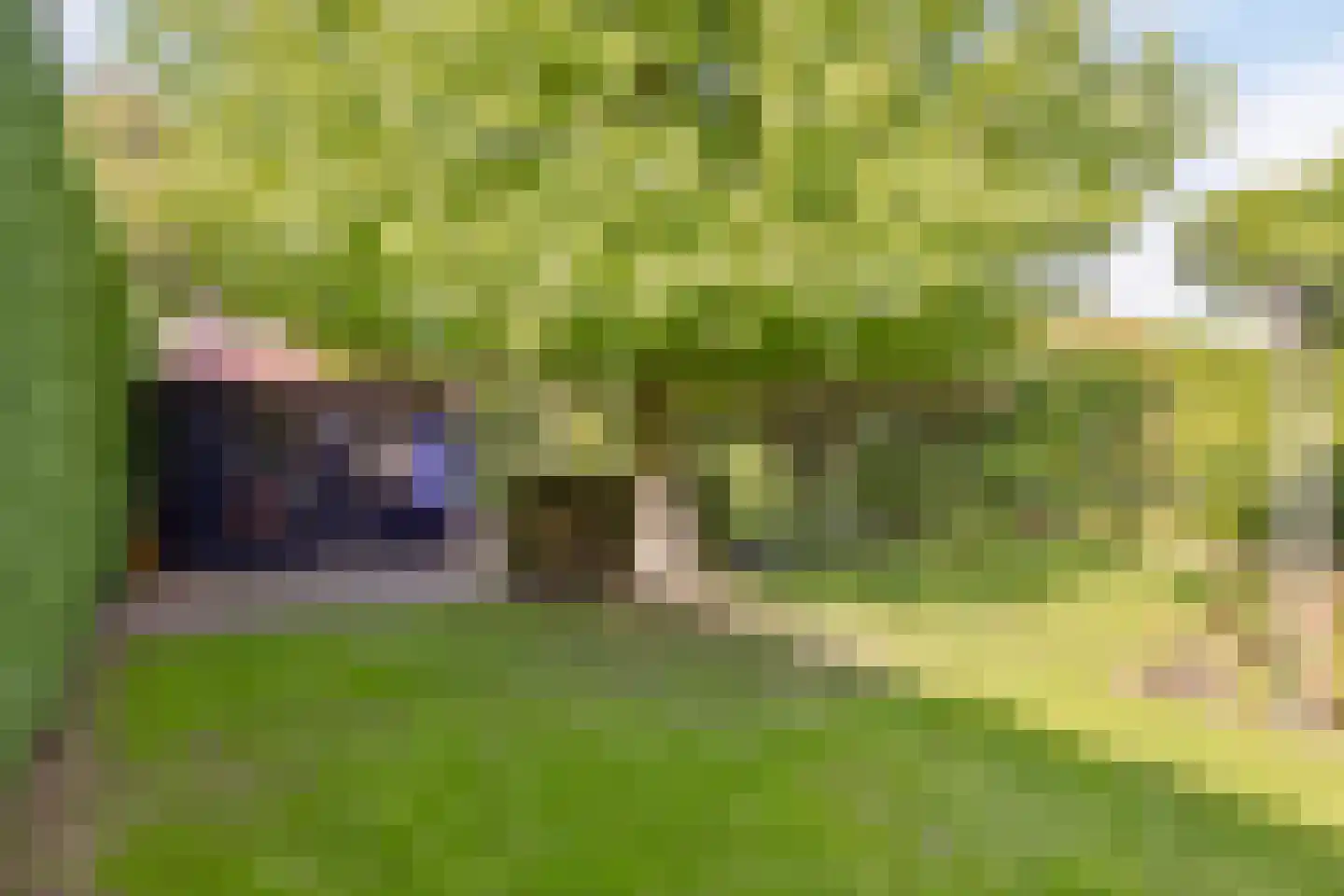 Hoefslag 29 Nijmegen thumbnail 29