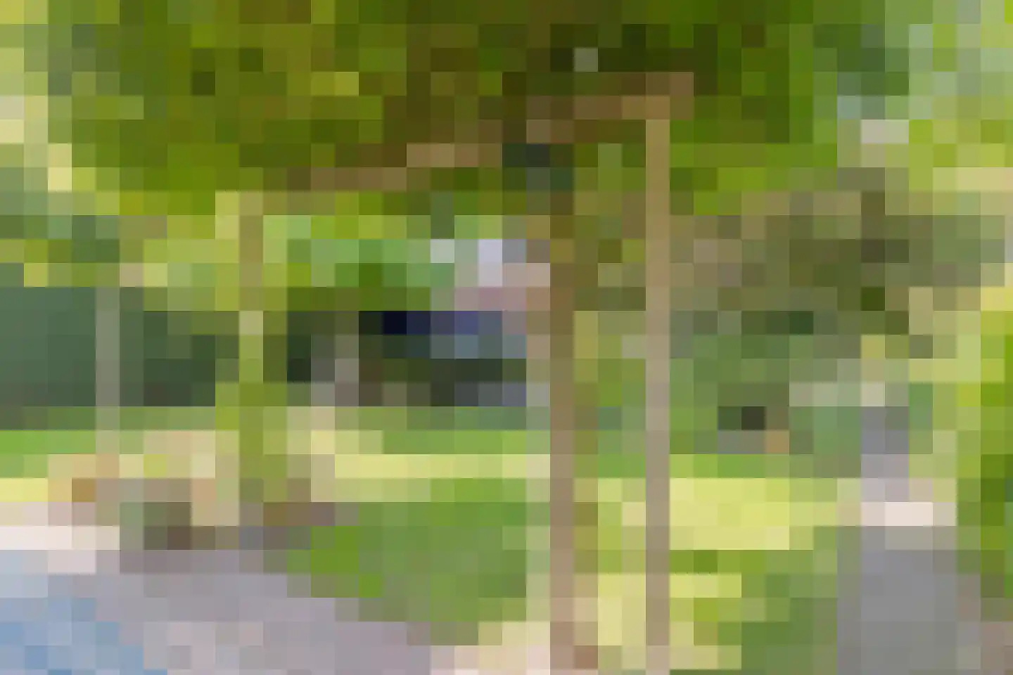 Hoefslag 29 Nijmegen thumbnail 33