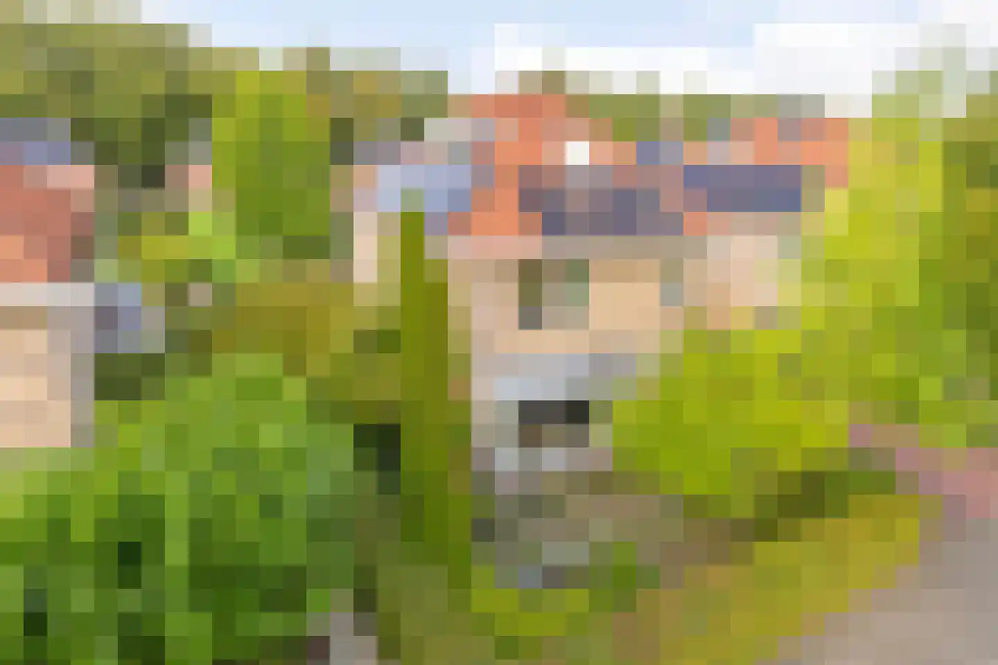 Hoefslag 29 Nijmegen thumbnail 36