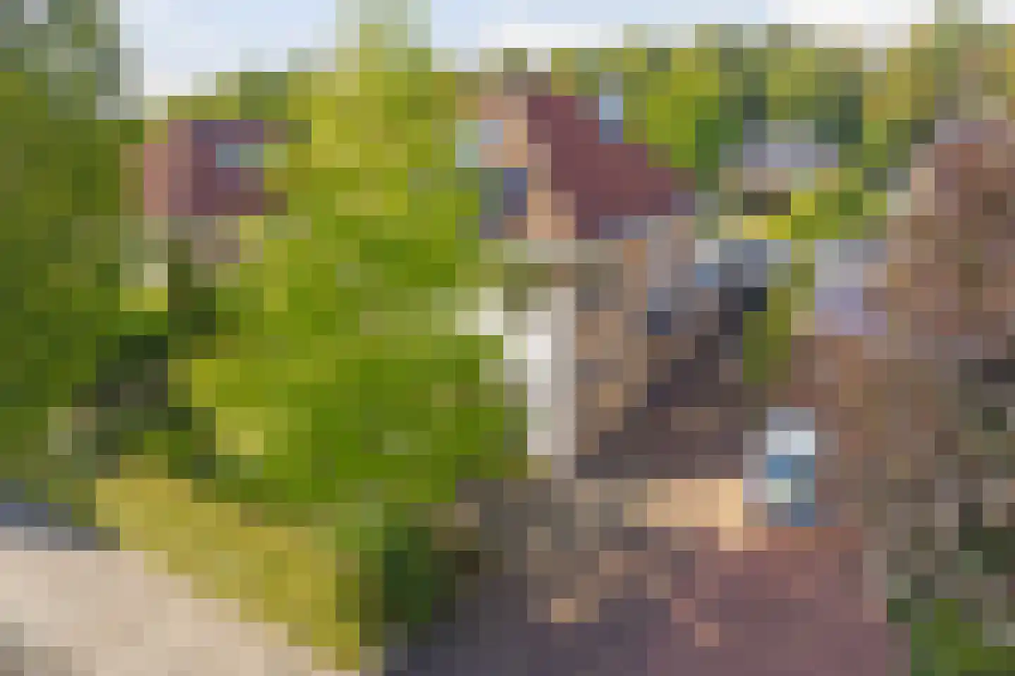 Hoefslag 29 Nijmegen thumbnail 5
