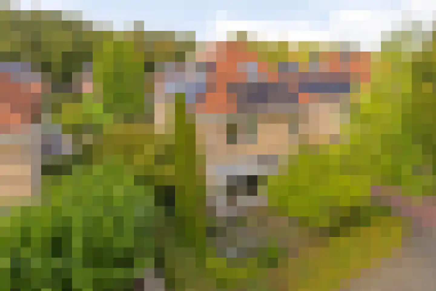 Hoefslag 29 Nijmegen thumbnail 51