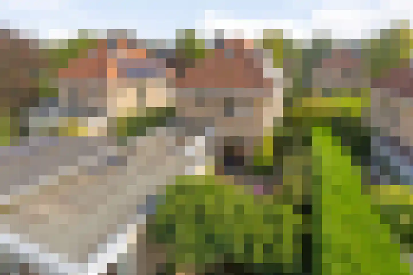 Hoefslag 29 Nijmegen thumbnail 52