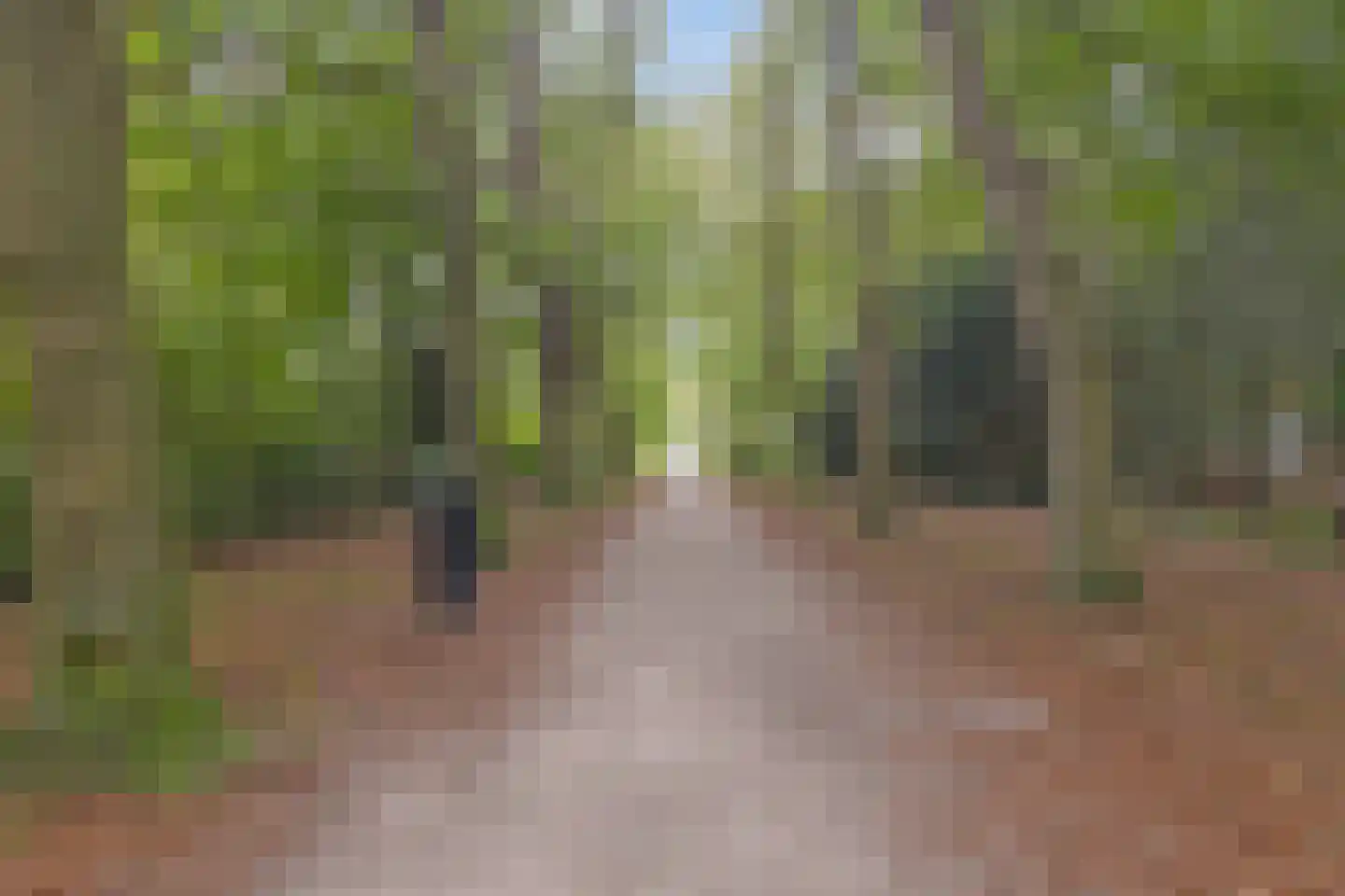 Hoefslag 29 Nijmegen thumbnail 55