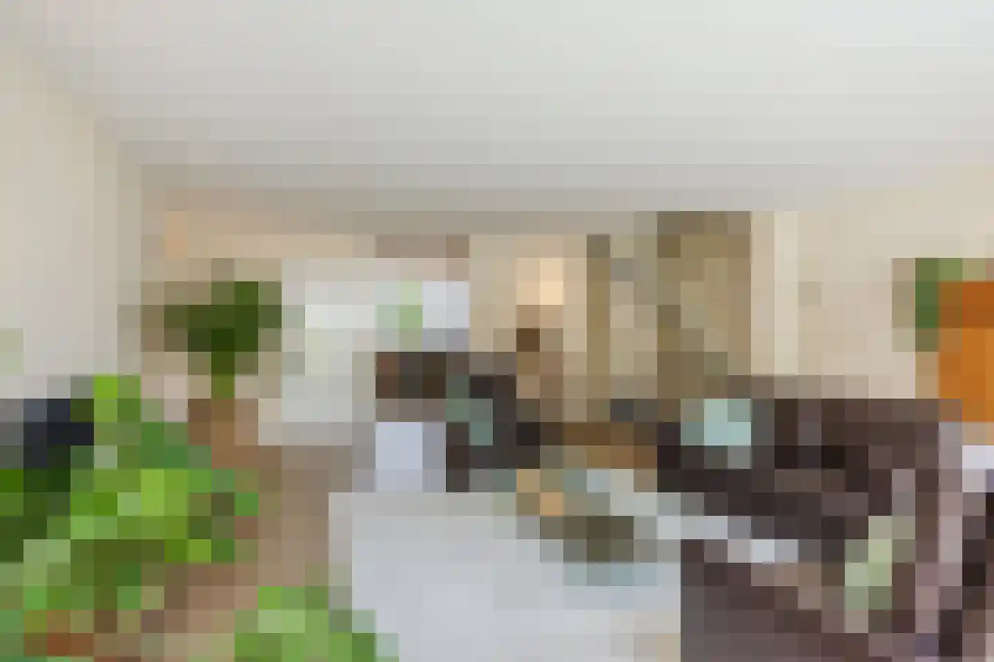 Hoefslag 3 's Gravenmoer thumbnail 14