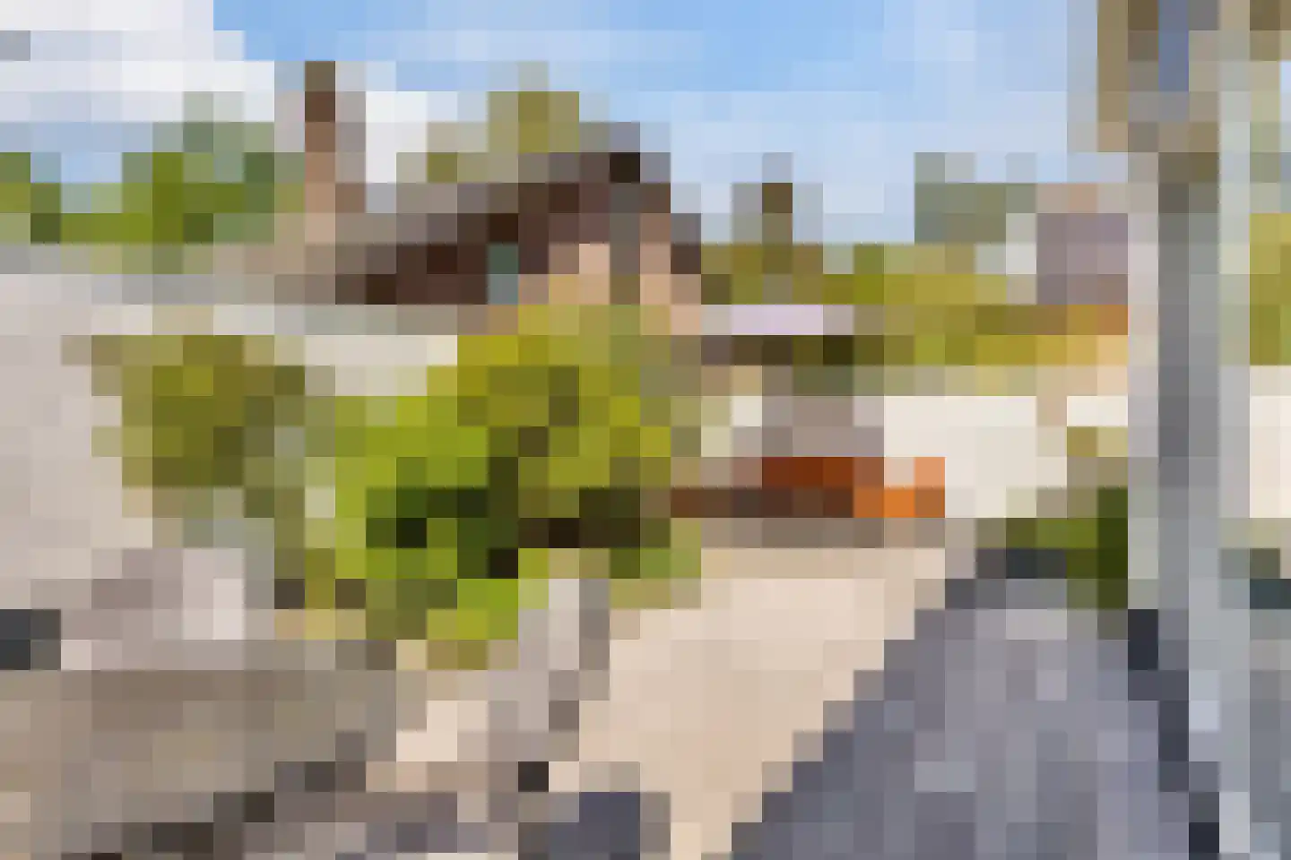 Hoefslag 3 's Gravenmoer thumbnail 25