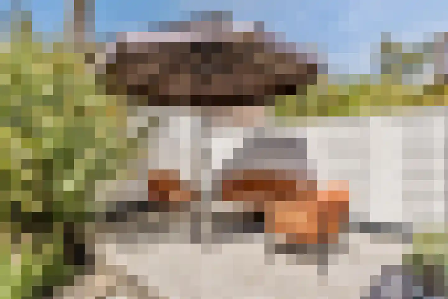 Hoefslag 3 's Gravenmoer thumbnail 27