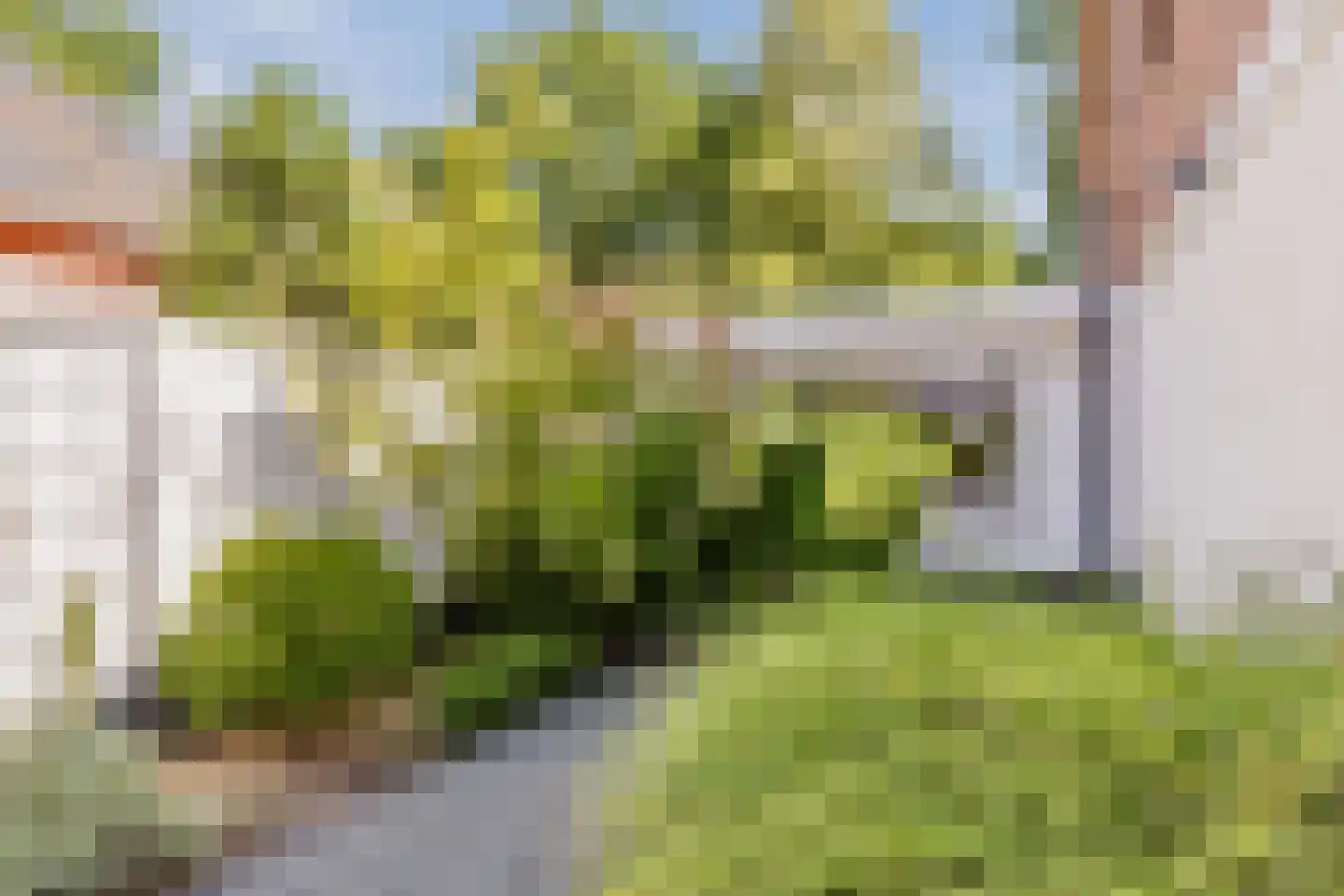 Hoefslag 3 's Gravenmoer thumbnail 28