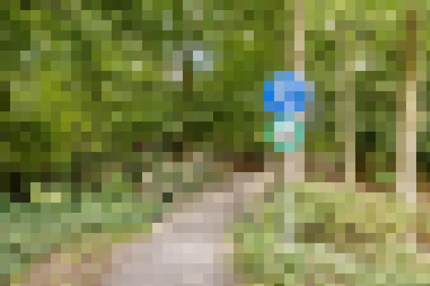 Hoefslag 3 's Gravenmoer thumbnail 42