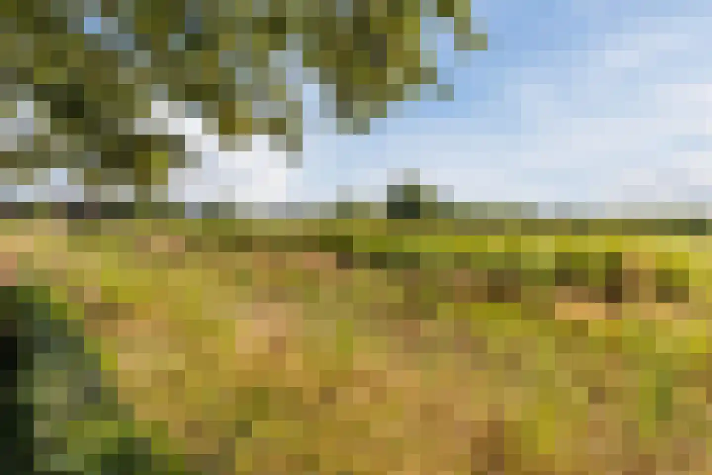 Hoefslag 3 's Gravenmoer thumbnail 44