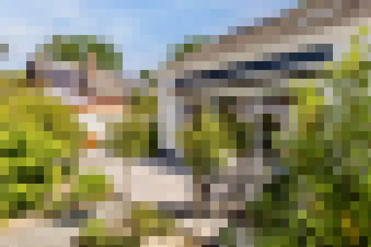 Hoefslag 3 's Gravenmoer thumbnail 5