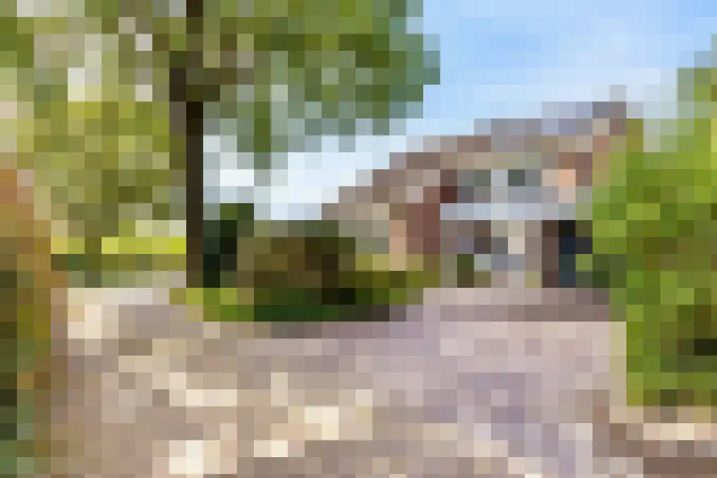 Hoefslag 3 's Gravenmoer thumbnail 6