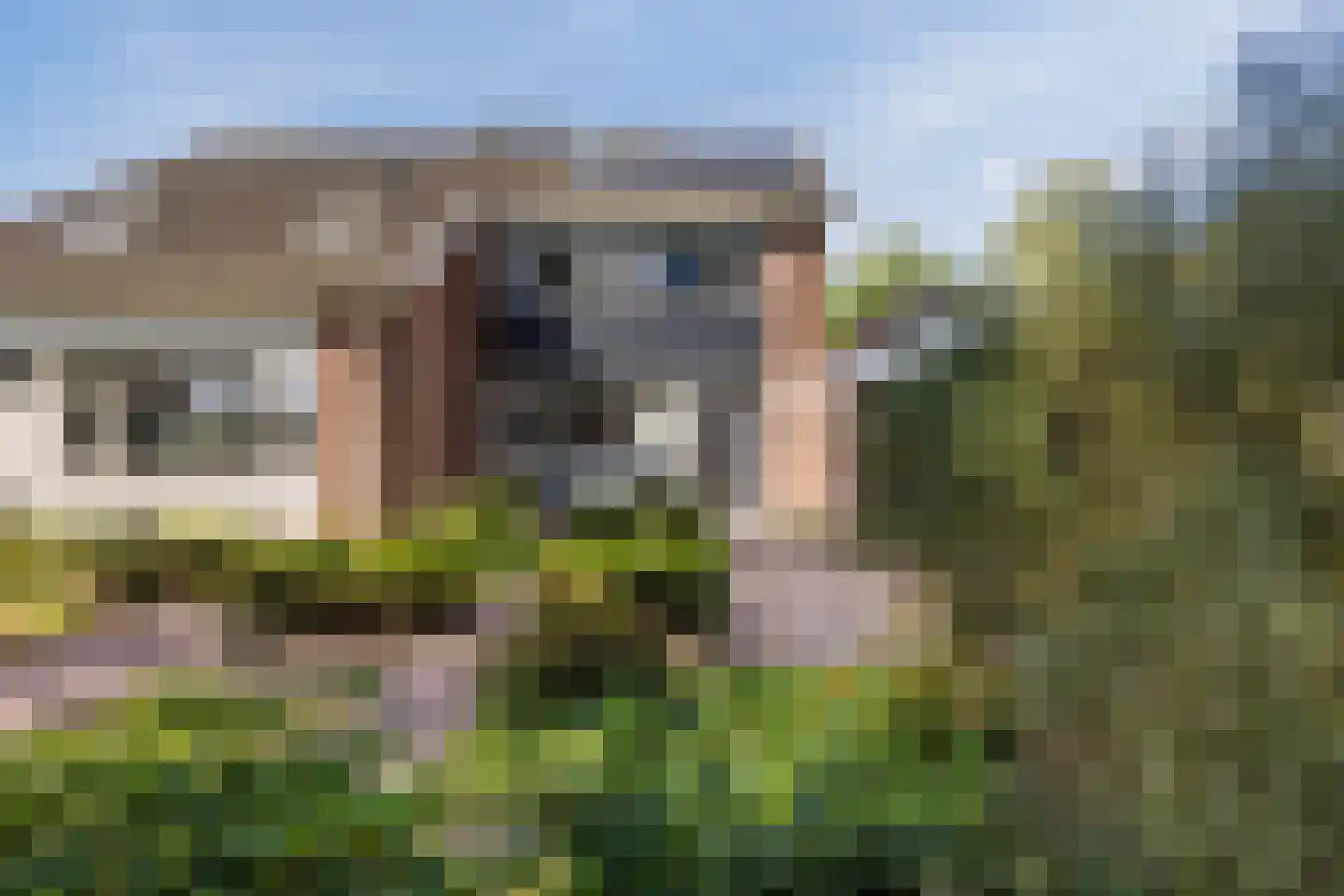 Hoefslag 3 's Gravenmoer thumbnail 7
