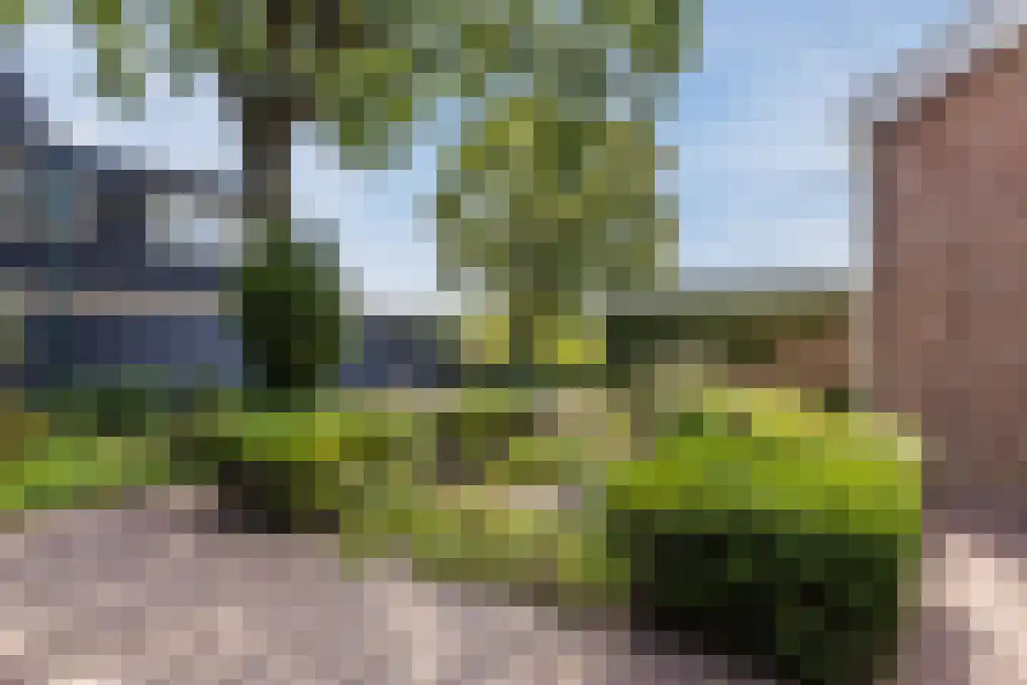 Hoefslag 3 's Gravenmoer thumbnail 9