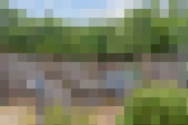 Hoefslag 37 Barendrecht thumbnail 29