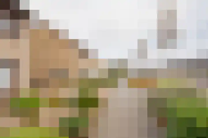 Hoefslag 37 Nijkerk thumbnail 28