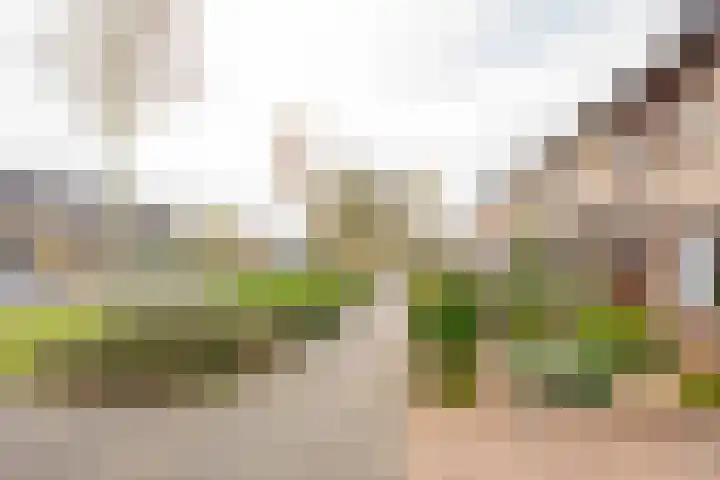 Hoefslag 37 Nijkerk thumbnail 29