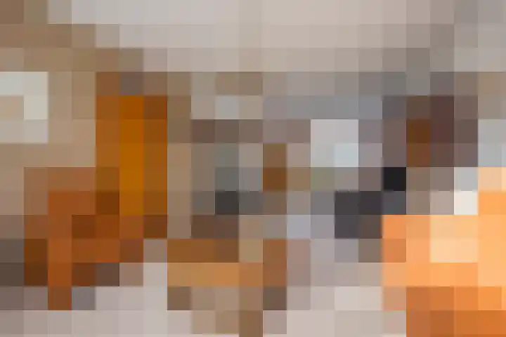 Hoefslag 37 Nijkerk thumbnail 5