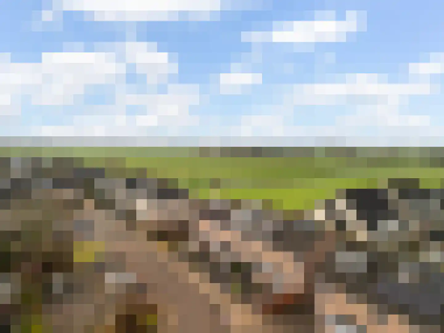 Hoefslag 4 Kamerik thumbnail 19