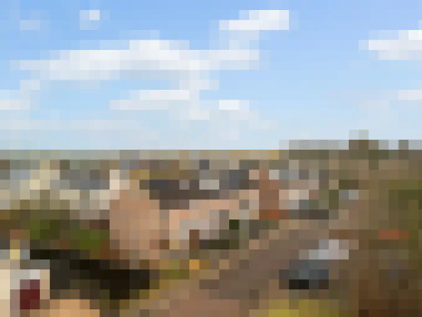 Hoefslag 4 Kamerik thumbnail 20