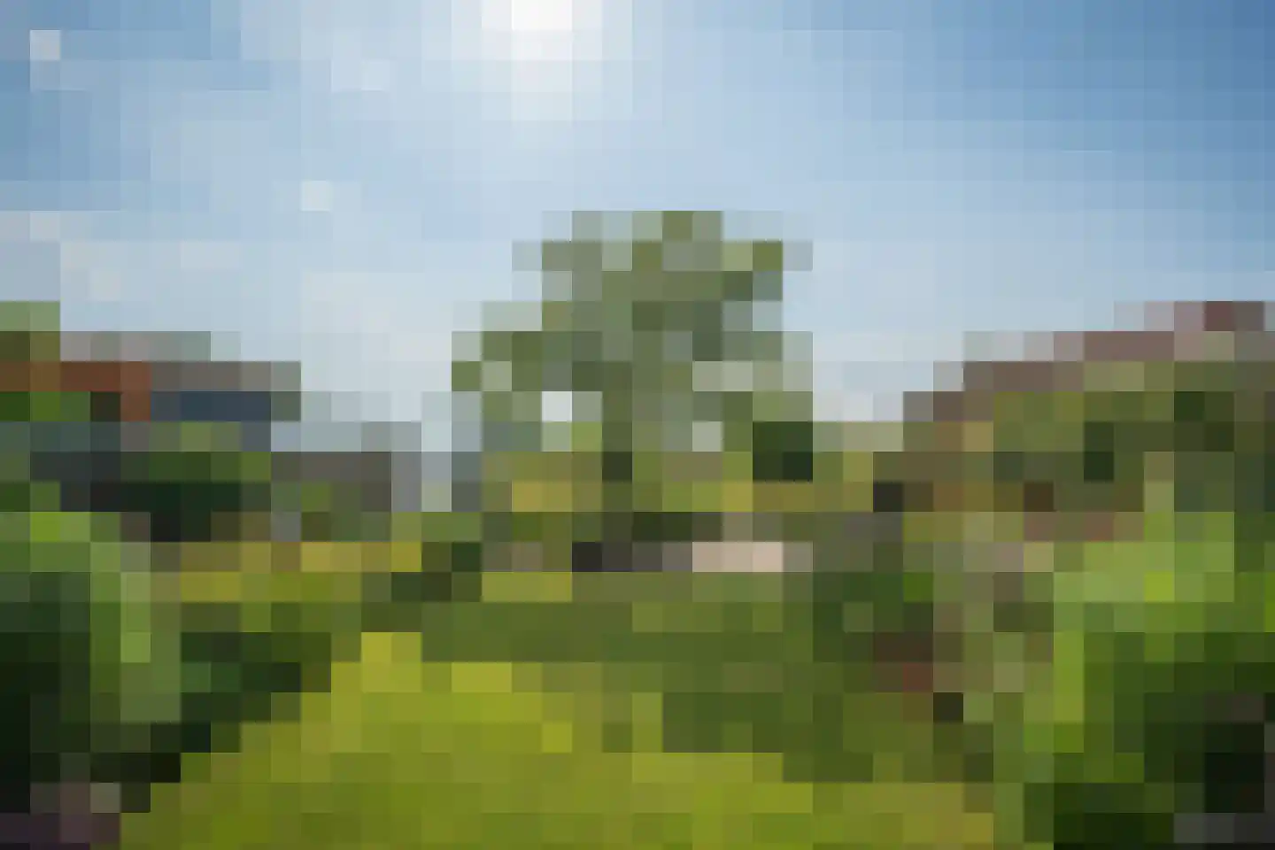 Hoefslag 47 Den Burg thumbnail 36