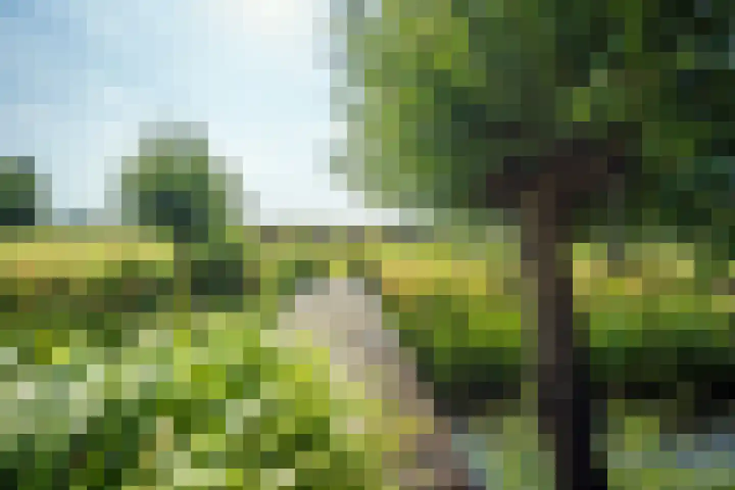 Hoefslag 47 Den Burg thumbnail 41