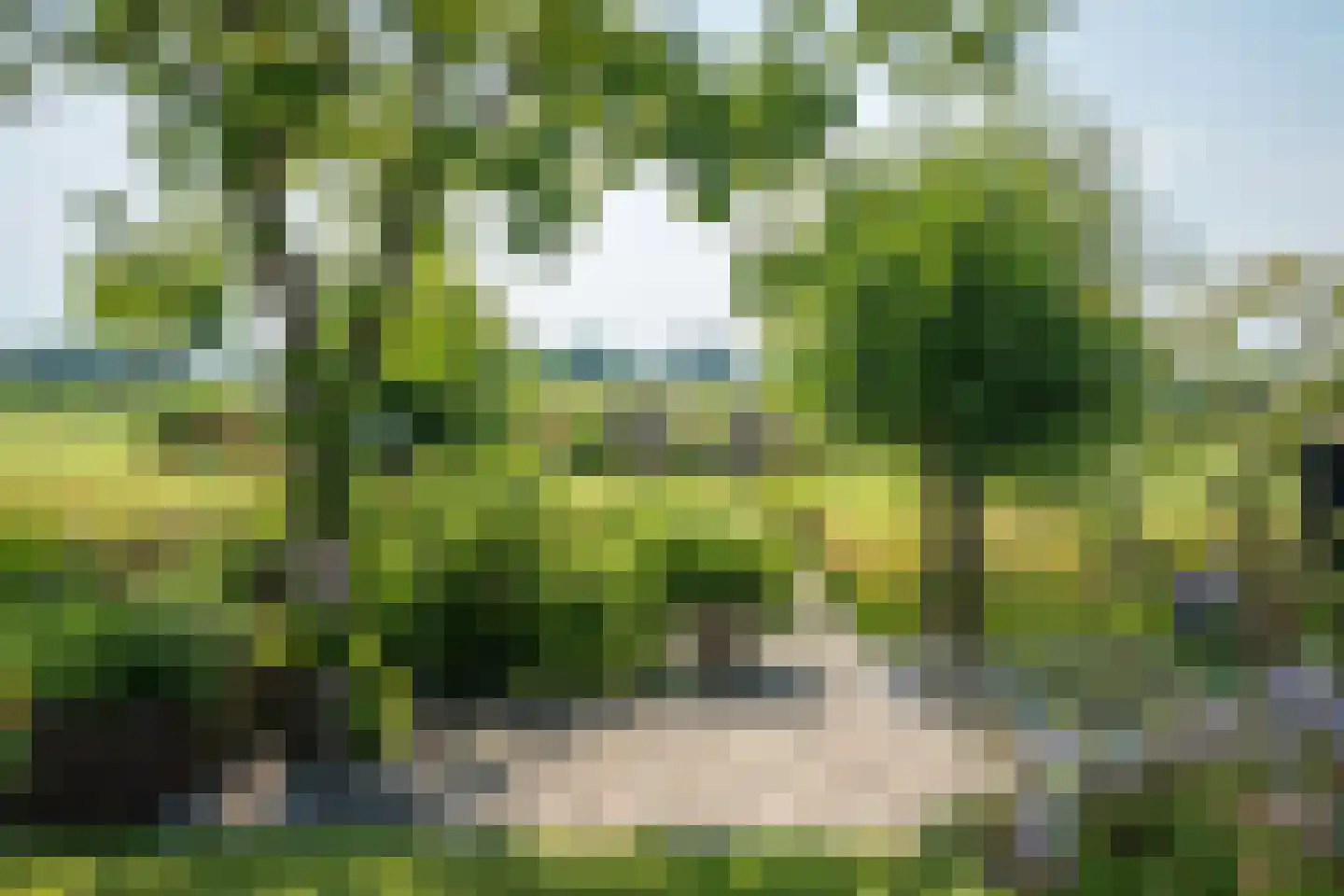 Hoefslag 47 Den Burg thumbnail 44