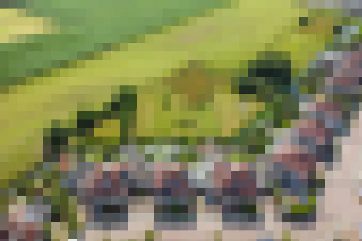 Hoefslag 47 Den Burg thumbnail 50