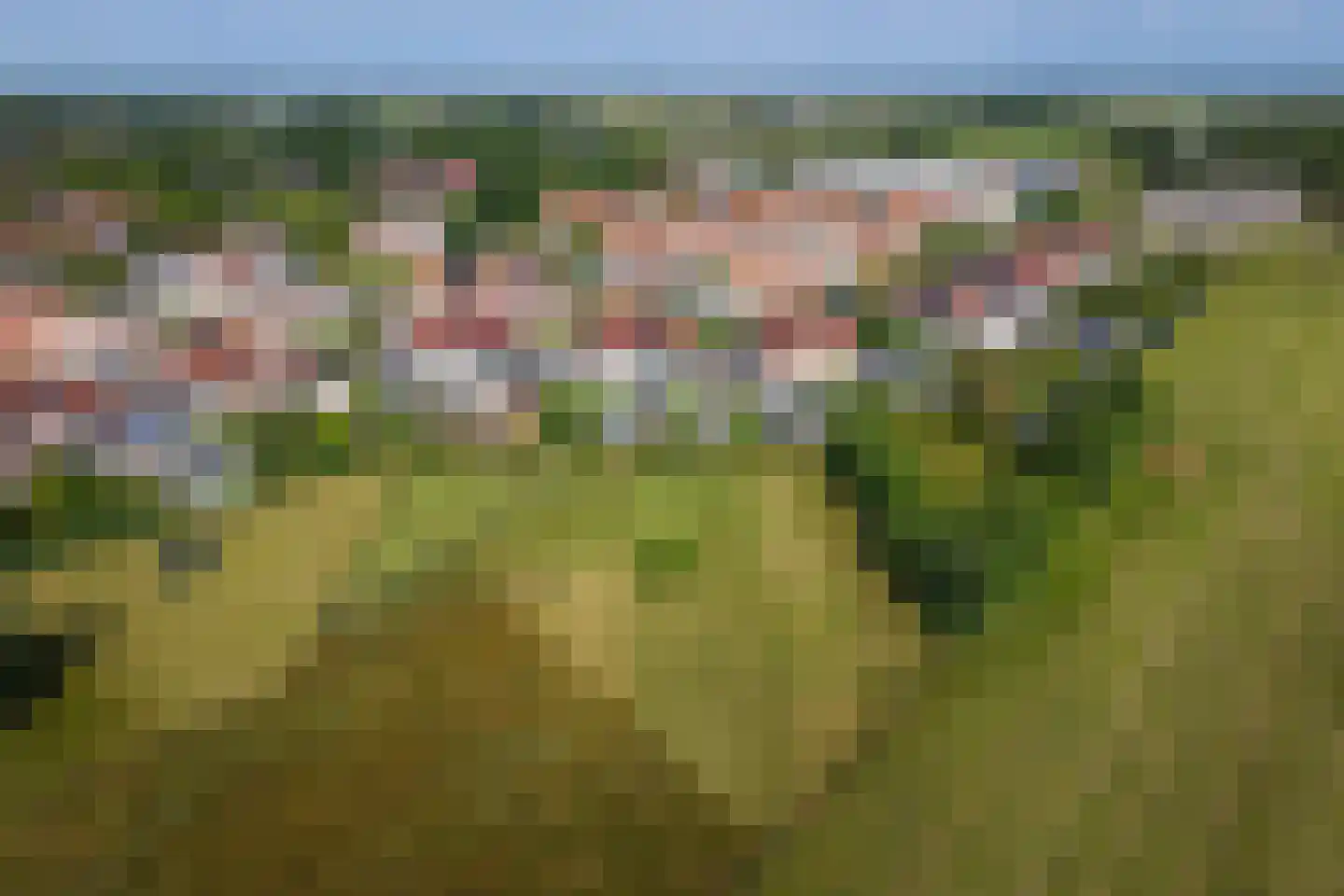 Hoefslag 47 Den Burg thumbnail 52