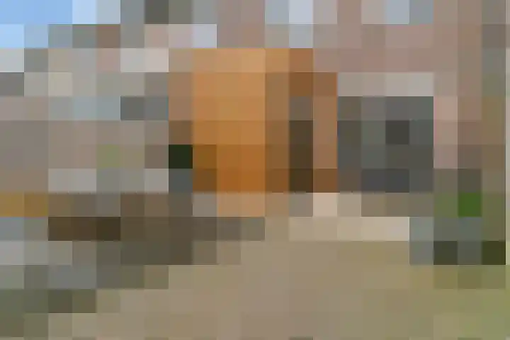 Hoefslag 6 Kamerik thumbnail 38