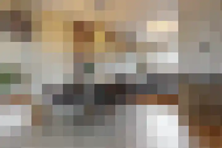 Hoefslag 6 Kamerik thumbnail 8