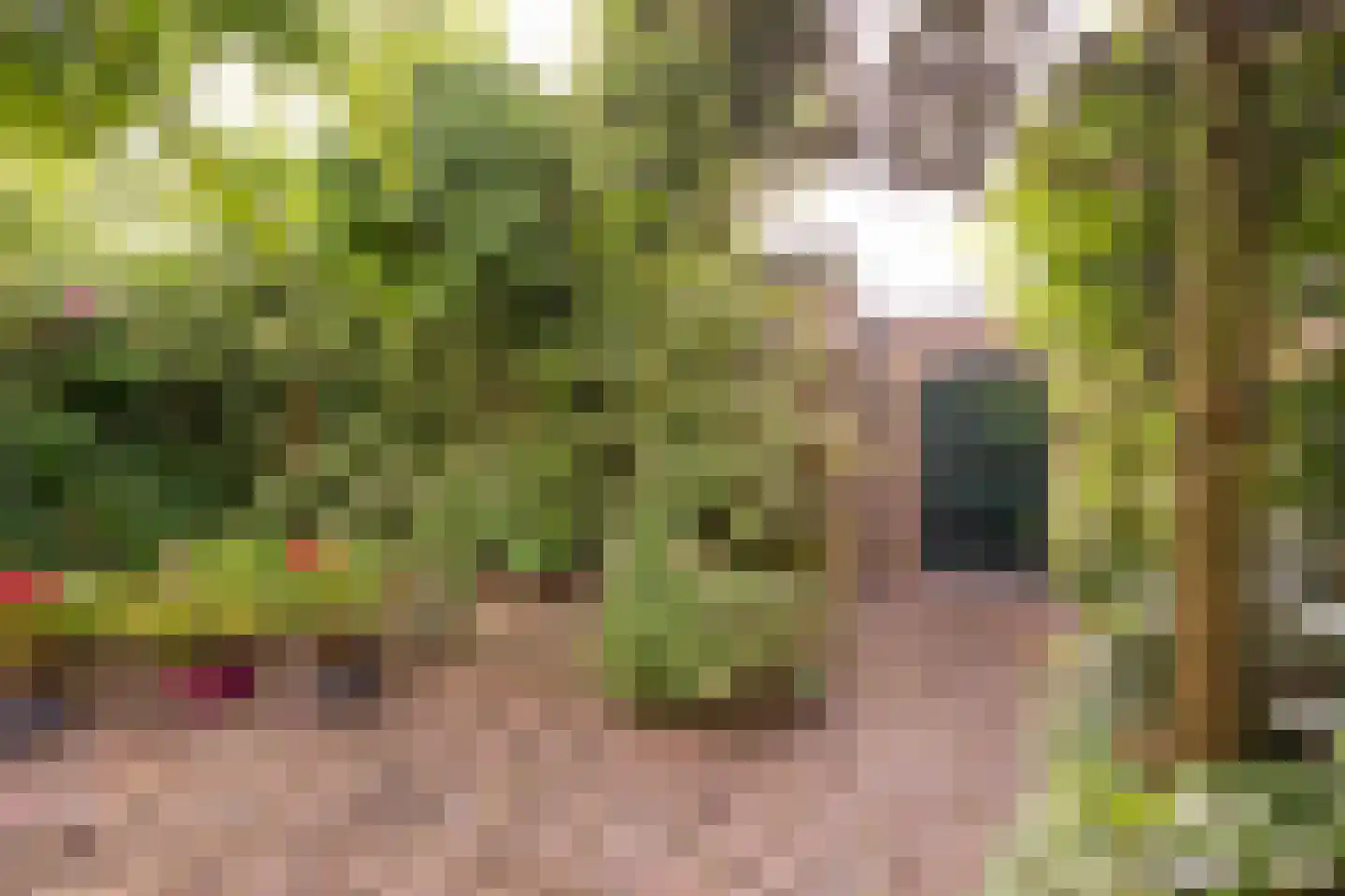 Hoefslag 64 Nijkerk thumbnail 31