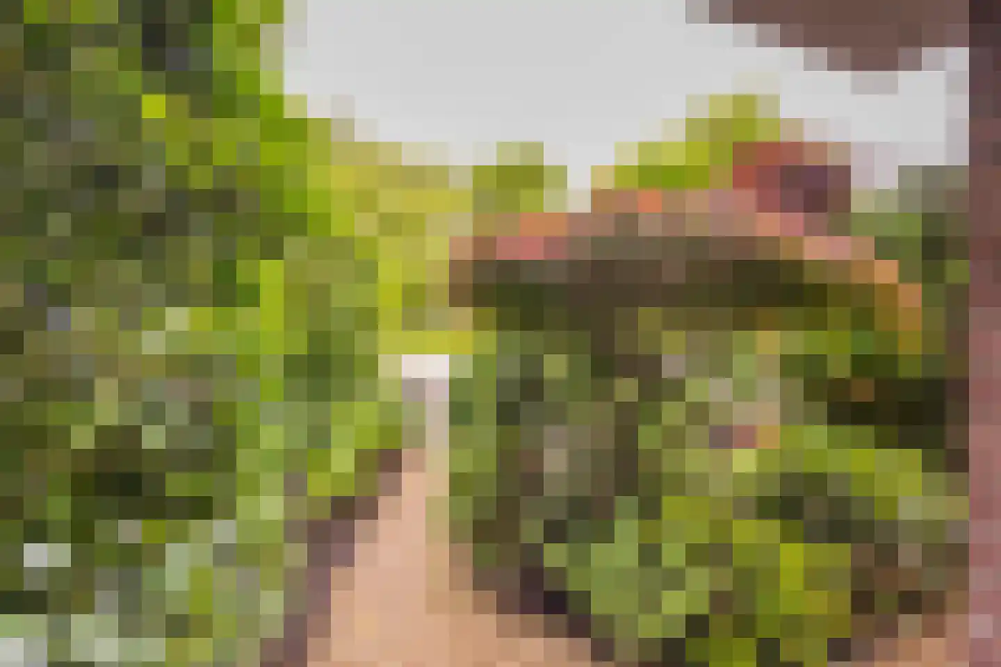 Hoefslag 64 Nijkerk thumbnail 32