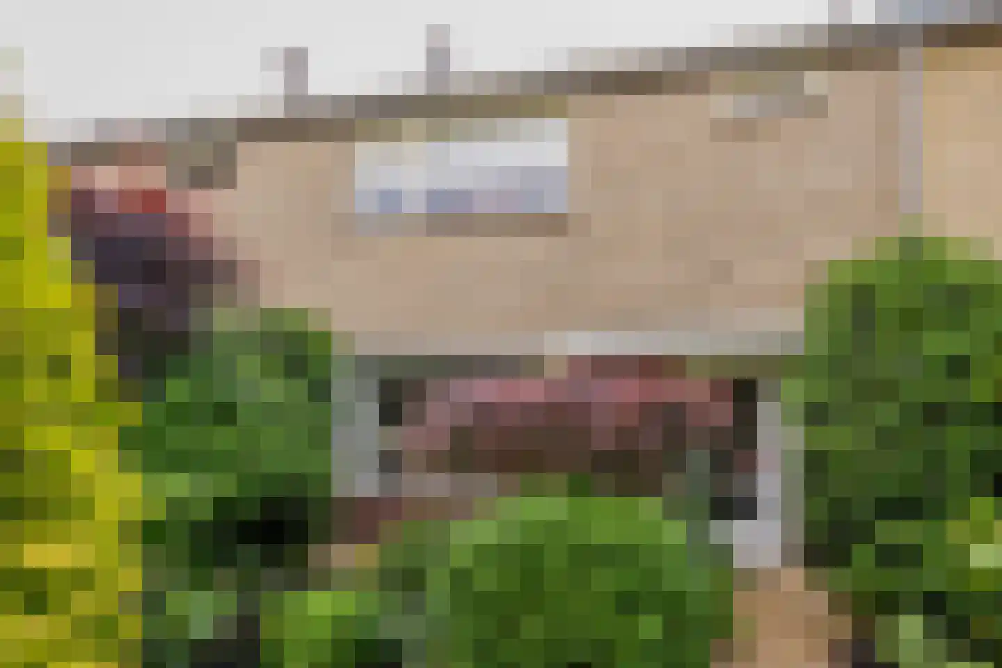 Hoefslag 64 Nijkerk thumbnail 33