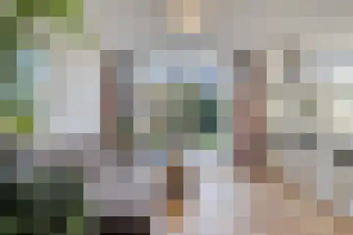 Hoefslag 7 Gorssel thumbnail 10