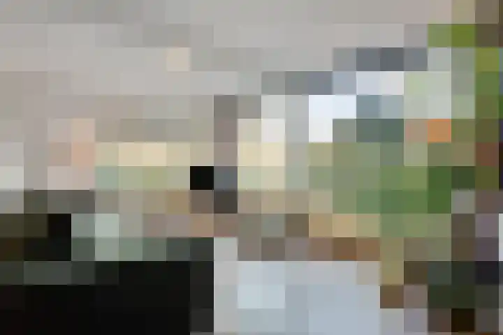 Hoefslag 7 Gorssel thumbnail 14