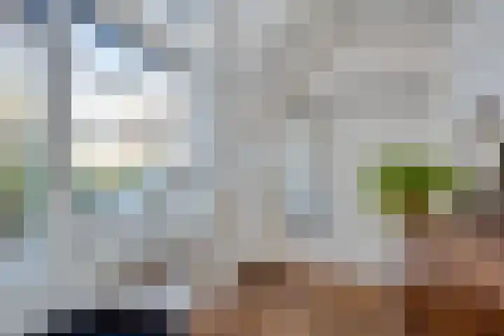 Hoefslag 7 Gorssel thumbnail 21